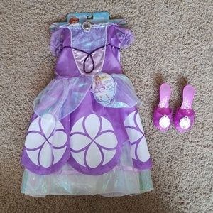 Sofia The First Dress